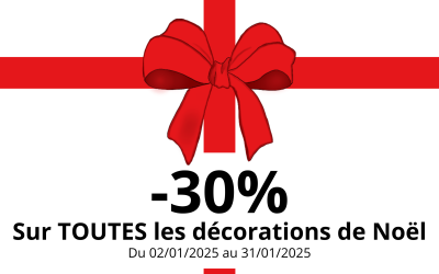 – 30 % sur toutes les décorations de Noël